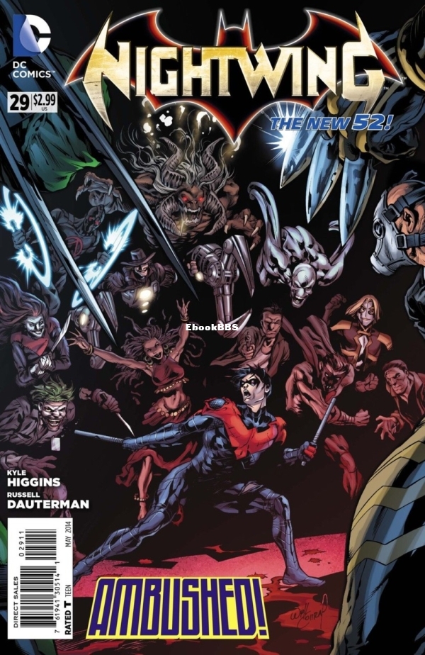 3689498-nightwing 01.jpg