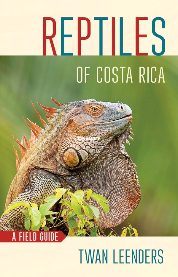 718A69BLwsL._SL1300_.jpg