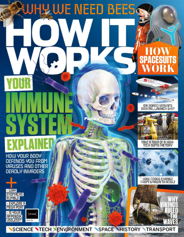 How It Works I175 2023 - 1.png