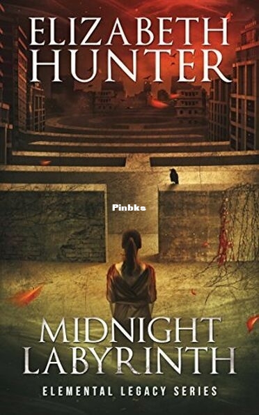 Midnight Labyrinth.jpg